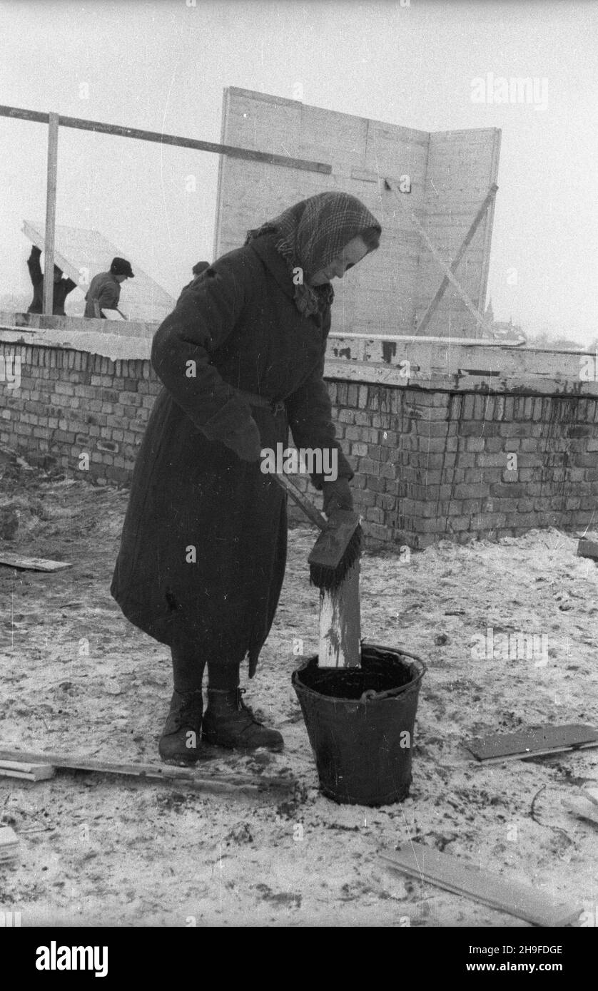 Katowice, 1948-02. Budowa osiedla domków jednorodzinnych (tzw. domków fiñskich) dla górników Kopalni Wêgla Kamiennego (KWK) Katowice. Do budowy domków u¿ywano drewnianych prefabrykatów, którymi Finlandia sp³aca³a Zwi¹zkowi Radzieckiemu reparacje wojenne. NZ. Robotnica nak³ada impregnat na elementy drewniane. po/gr PAP Dok³adny dzieñ wydarzenia nieustalony. Katowice, febbraio 1948. Costruzione di una casa prefabbricata per i minatori della miniera di carbone duro di Katowice (KWK). Elementi prefabbricati in legno sono stati utilizzati per costruire le case, come parte delle riparazioni di guerra pagate dalla Finlandia all'Unione Sovietica. Pictu Foto Stock