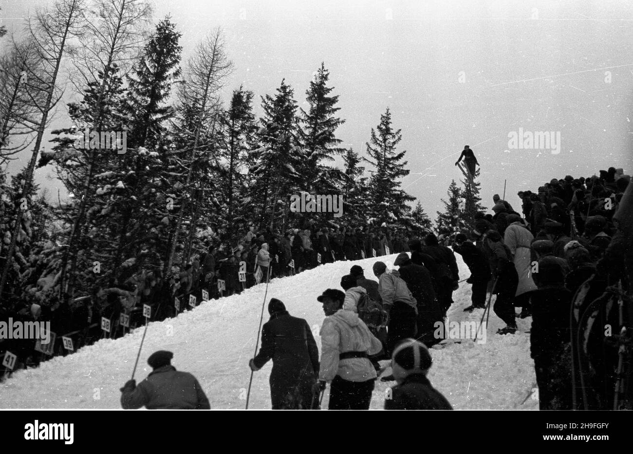 Karpacz, 1948-02. W dniach 19-20 lutego odby³y siê XXIII Narciarskie Mistrzostwa Polski. NZ. Konkurencja w skokach narcskich. bk PAP Dok³adny dzieñ wydarzenia nieustalony. Karpacz, febbraio 1948. Il 23° Campionato di Sci Polacca si è tenuto il 19-20 febbraio. Nella foto: Un evento di salto con gli sci. bk PAP Foto Stock