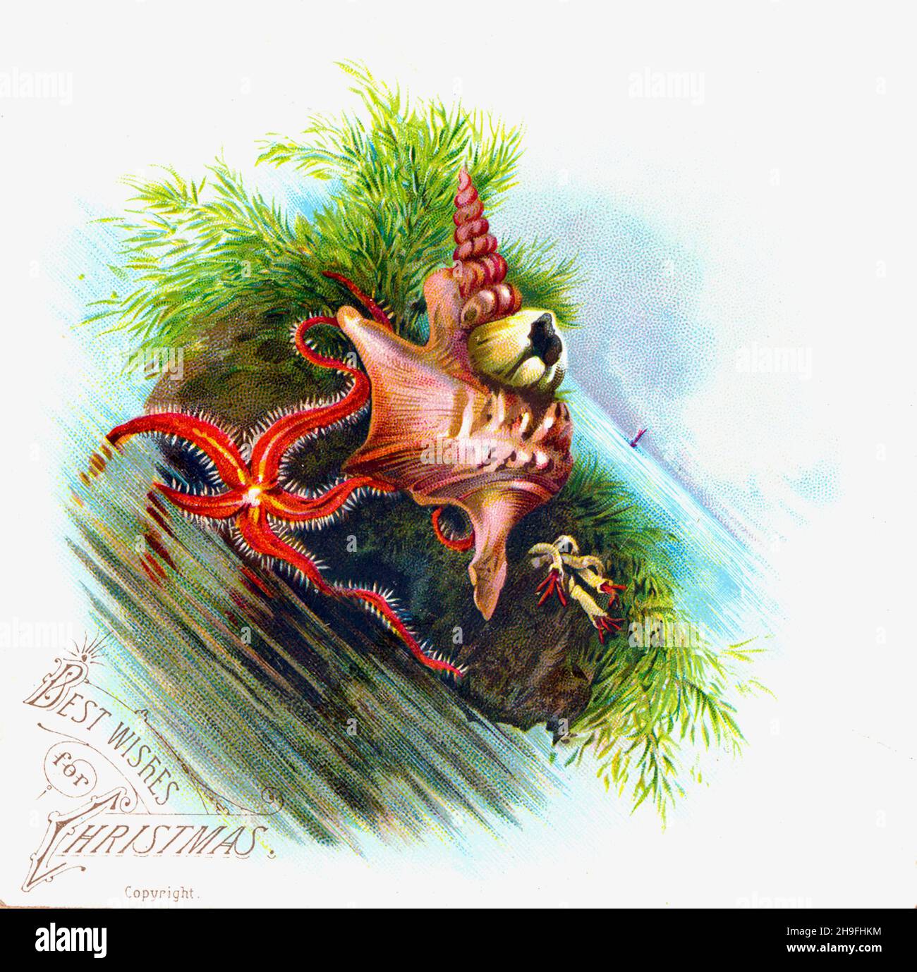 Victorian Christmas - insolito Natale Card rigorosamente non per terra lubbers. Foto Stock