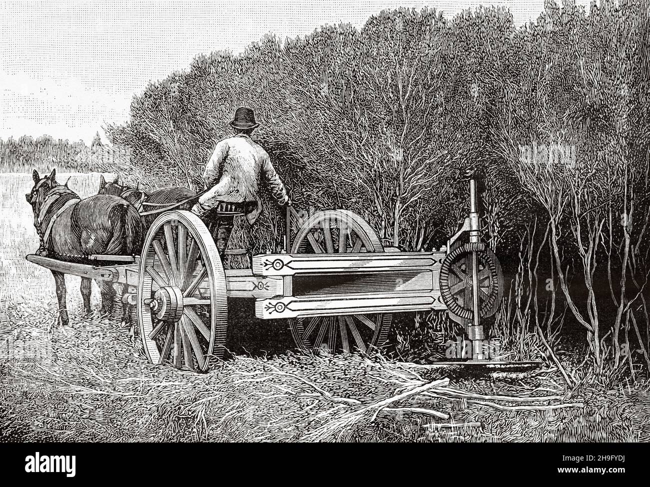 Macchina per taglio angolare utilizzata in Australia e Nuova Zelanda. Antica illustrazione del 19 ° secolo inciso da la Nature 1885 Foto Stock