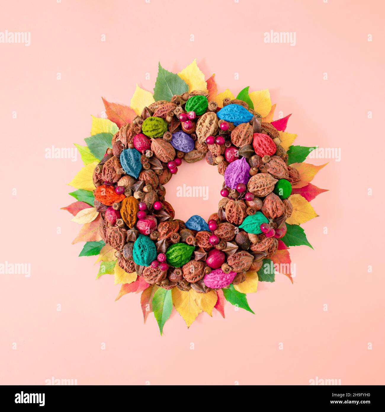 Decorazione a cerchio creativa autunno fatto di frutti di bosco di pietra e foglie colorate. Il concetto piatto di castagno e noci si basa su sfondo rosa pastello. Foto Stock