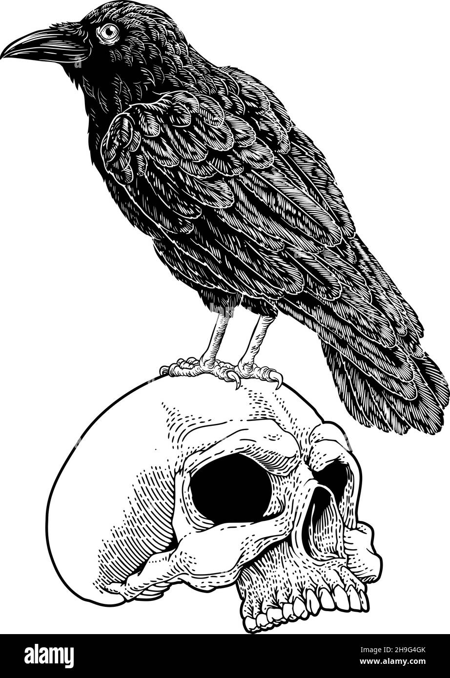 Corvo Raven Corvus Bird e cranio Vintage Woodcut Illustrazione Vettoriale