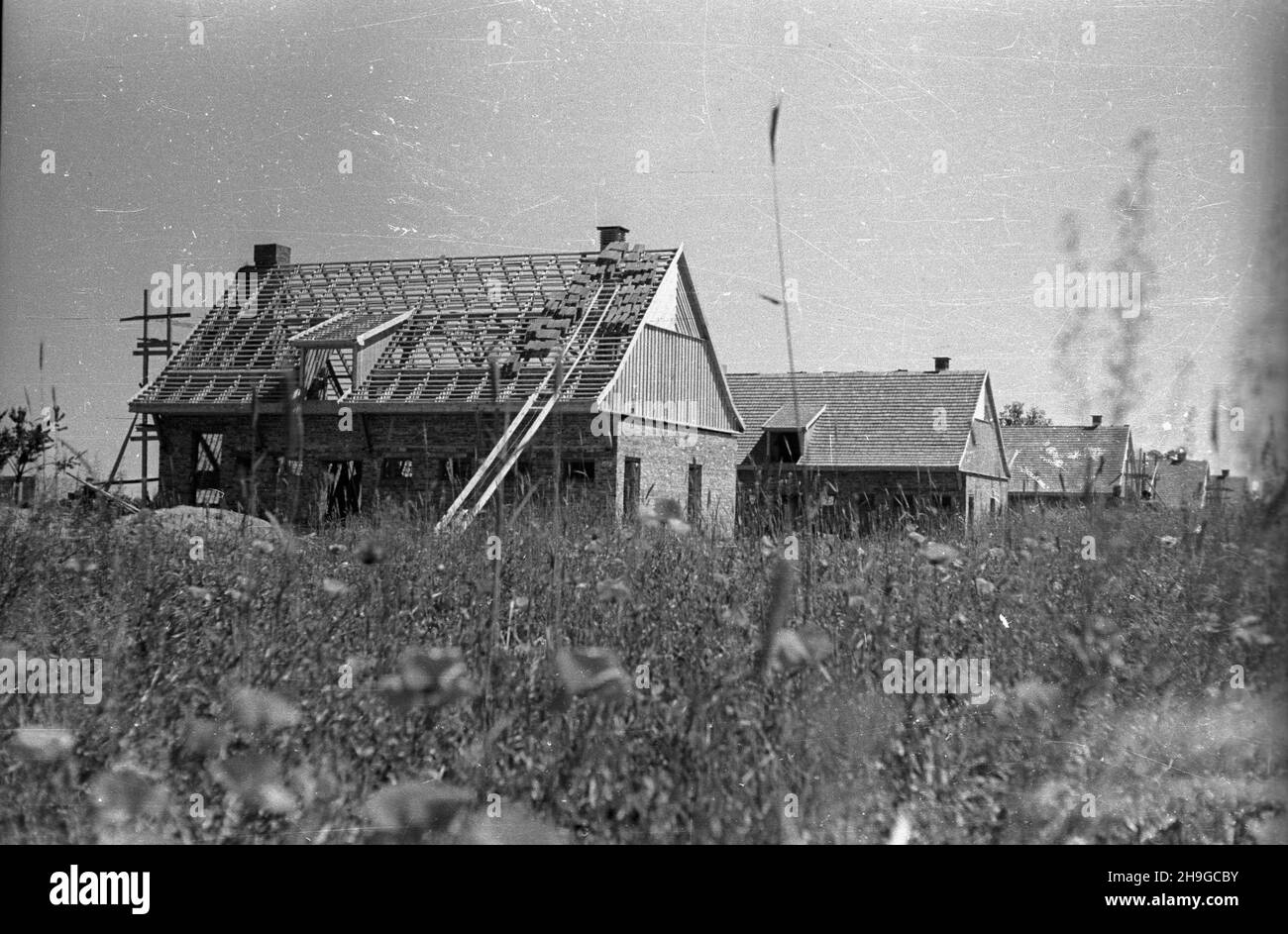 Wilczkowice, 1948-06-16. Budowa eksperymentalnej wsi opartej na gospodarce czêœciowo spó³dzielczej, organizowanej przez Ministerstwo Odbudowy. NZ. Zabudowania inwentarskie w powstaj¹cej wsi. wb PAP/S. Sadowski Wilczkowice, 16 giugno 1948. La costruzione di un villaggio sperimentale basato sull'economia in parte cooperativa, organizzata dal ministero della ricostruzione. Nella foto: Edifici di bestiame nel villaggio in costruzione. wb PAP/S. Sadowski Foto Stock