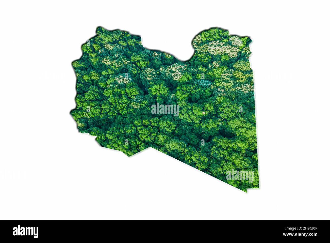 Mappa della Foresta Verde della Libia, su sfondo bianco Foto Stock
