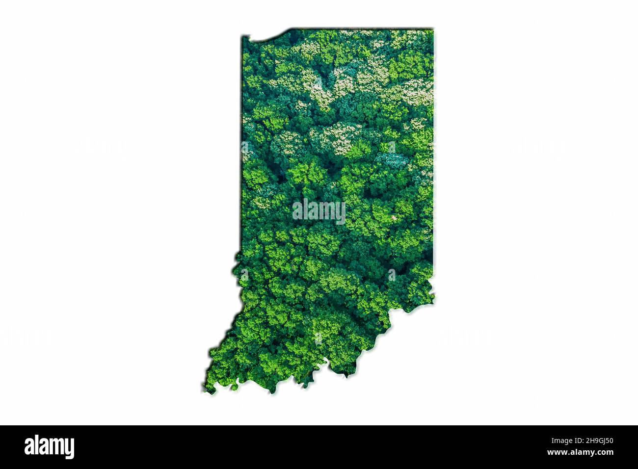 Mappa della Foresta Verde dell'Indiana, su sfondo bianco Foto Stock