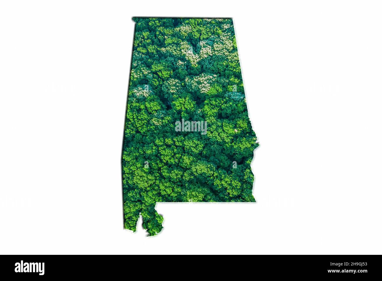 Green Forest Mappa di Alabama, su sfondo bianco Foto Stock