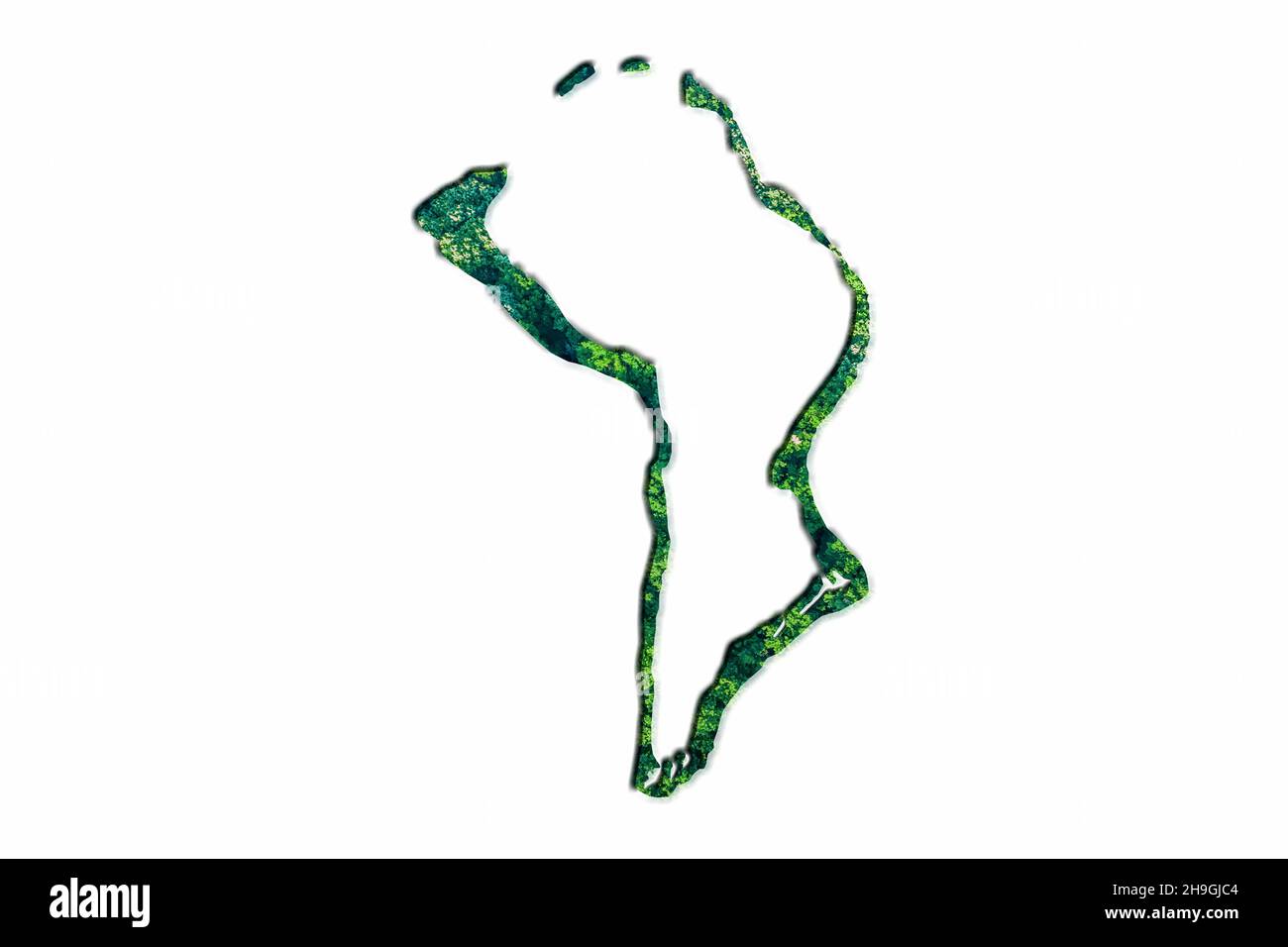 Mappa della Foresta Verde del territorio britannico dell'Oceano Indiano, su sfondo bianco Foto Stock