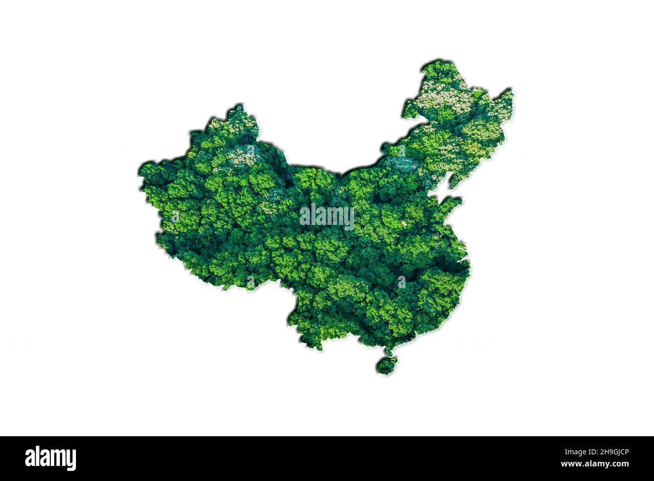 Mappa della Foresta Verde della Cina, su sfondo bianco Foto Stock