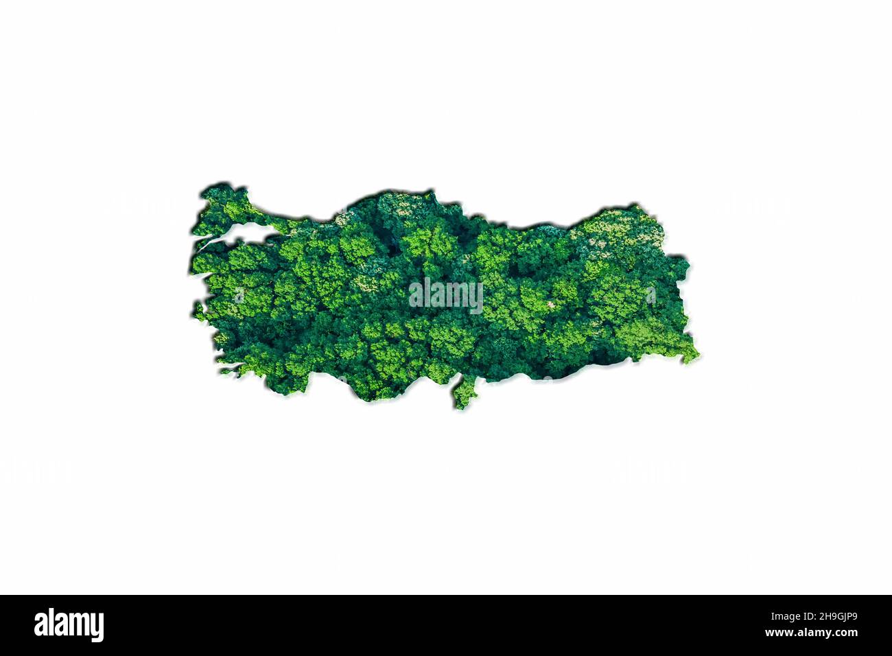 Mappa della Foresta Verde della Turchia, su sfondo bianco Foto Stock