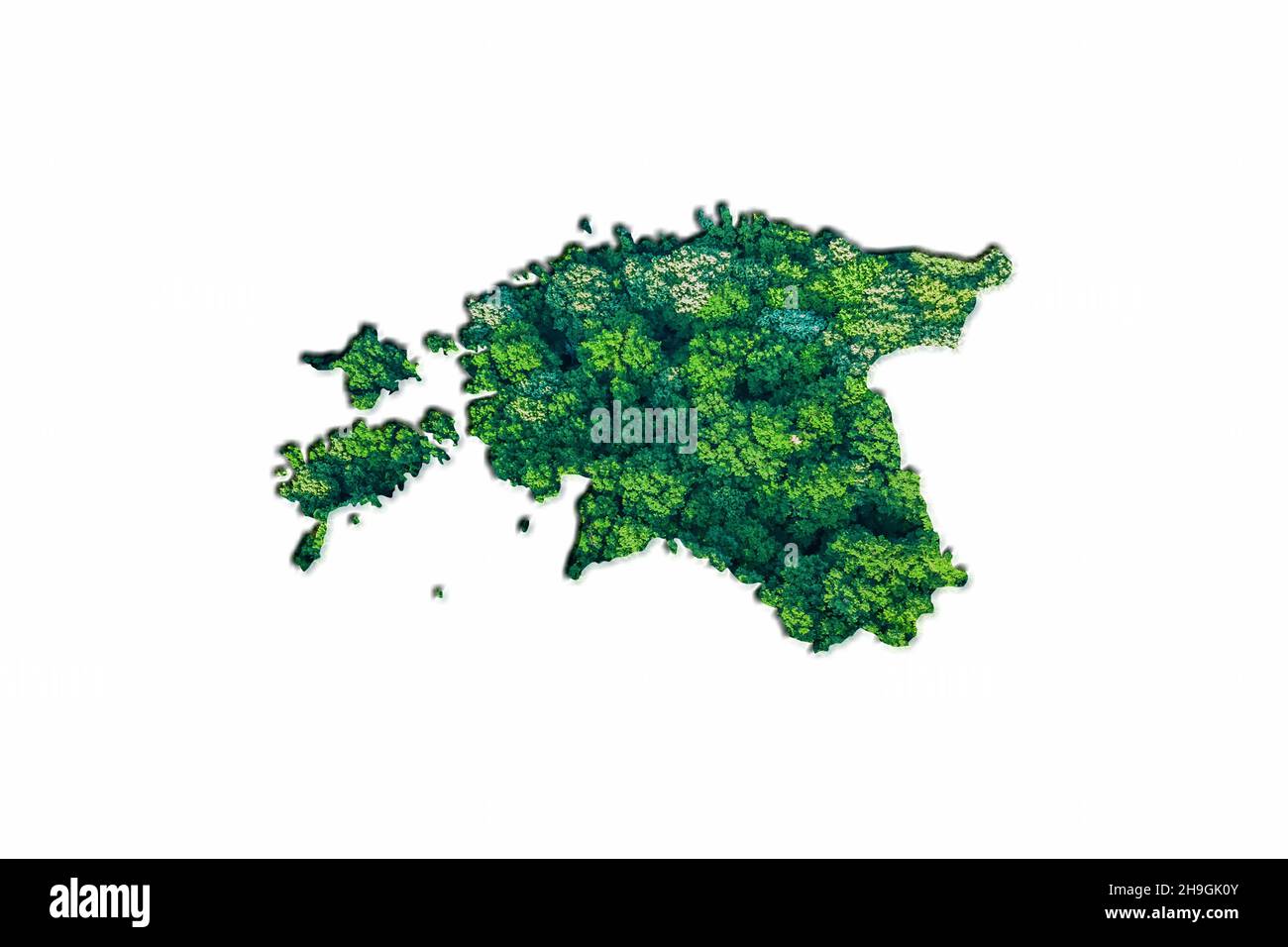 Mappa della Foresta Verde dell'Estonia, su sfondo bianco Foto Stock