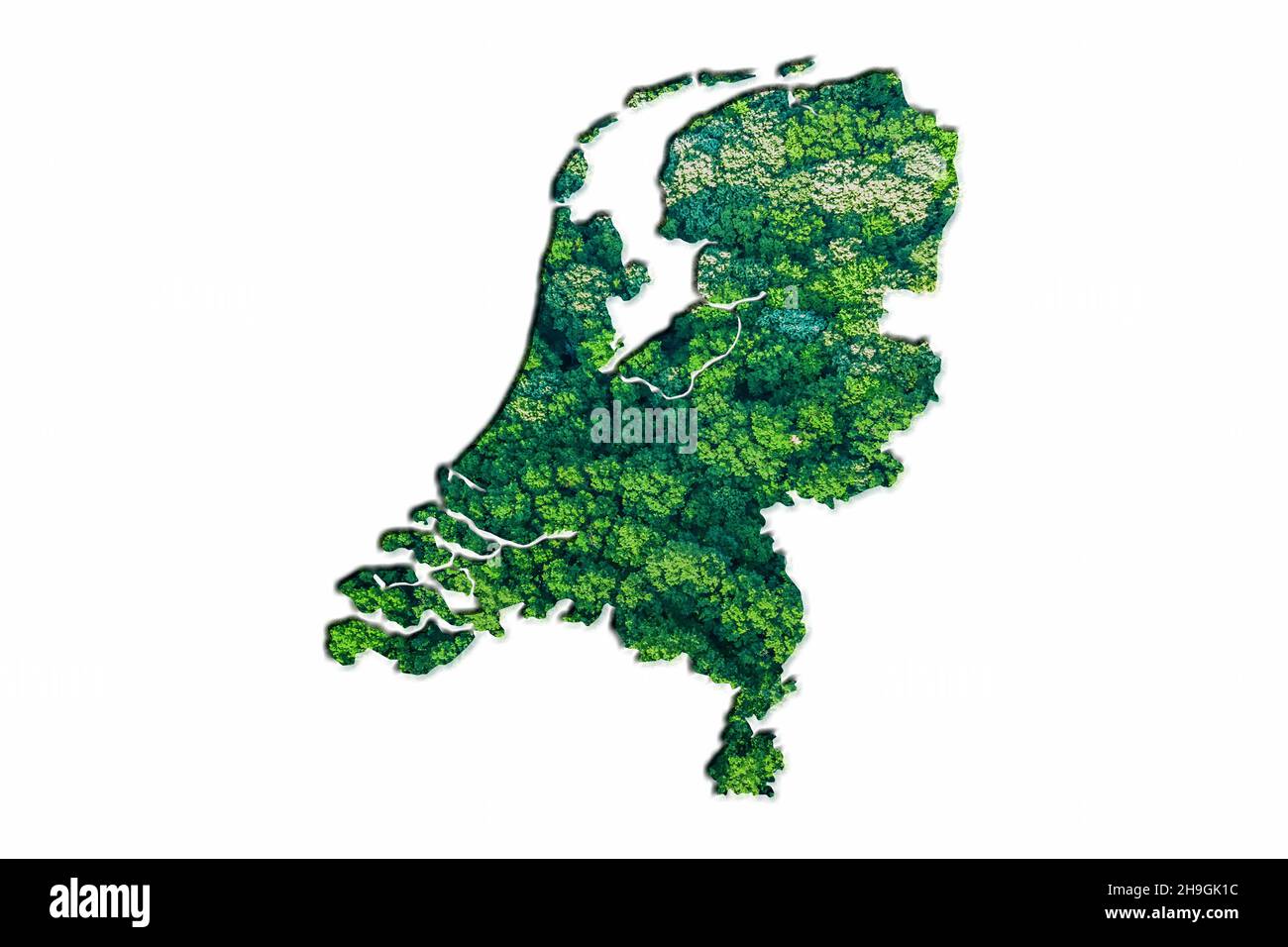 Green Forest Mappa dei Paesi Bassi, su sfondo bianco Foto Stock