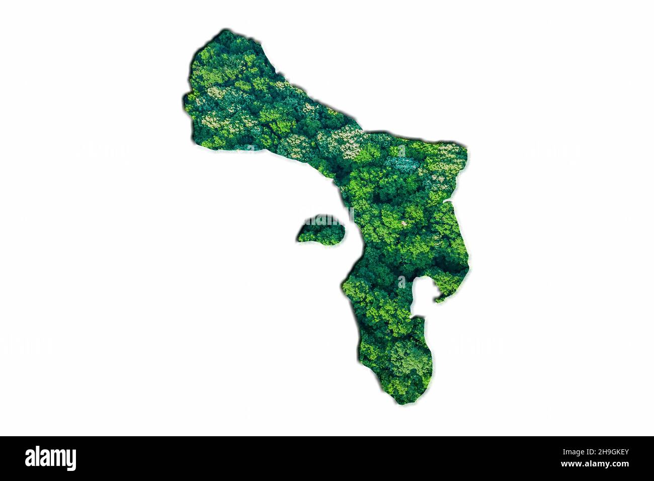 Green Forest Mappa dei Caraibi Paesi Bassi, su sfondo bianco Foto Stock