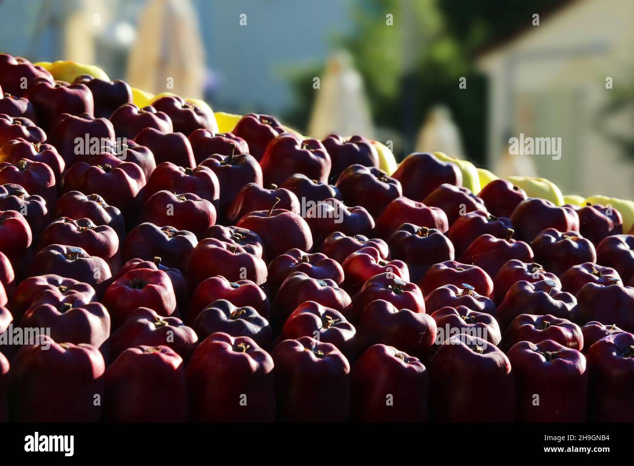 Apfel, Merano, Kurstadt, Weinfest, Trachtenfest, Äpfel dekoriert zum Großen Fest in Südtirol, Italien. Foto Stock