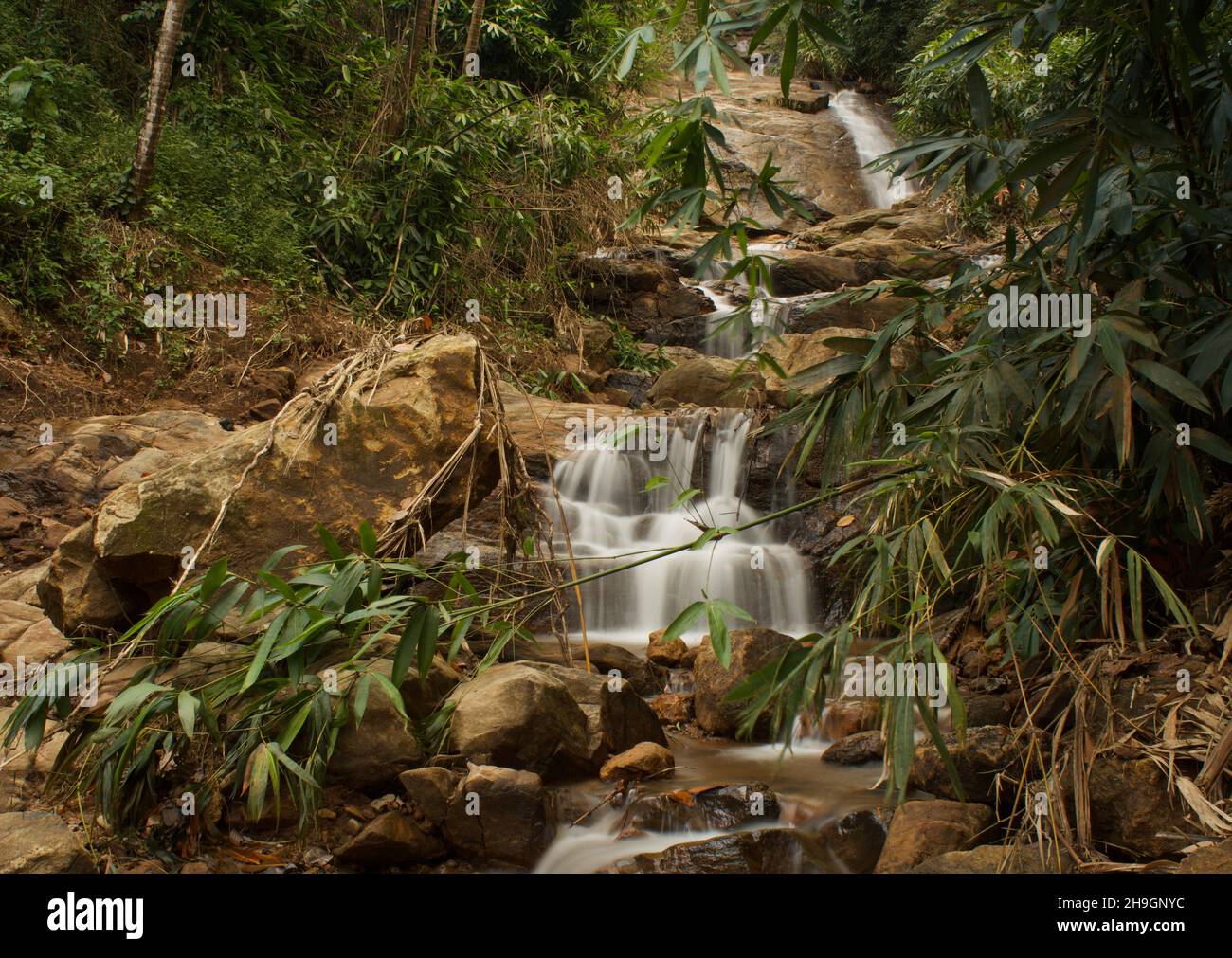 cascata nella foresta di montagna, presa con velocità otturatore lenta Foto Stock