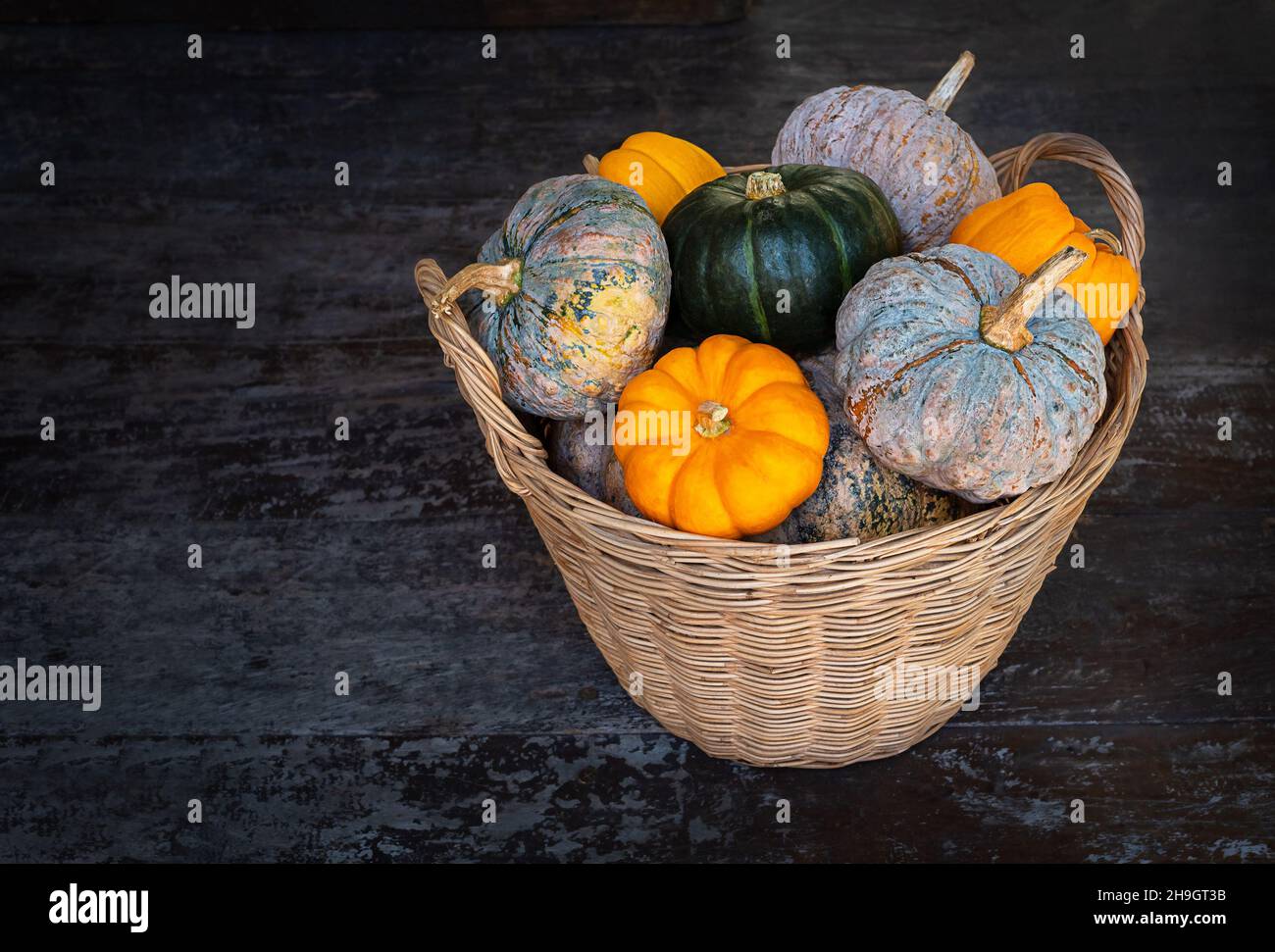 cestino con diverse zucche multicolore su sfondo di legno scuro. verdure arancioni, grigie, verdi Foto Stock