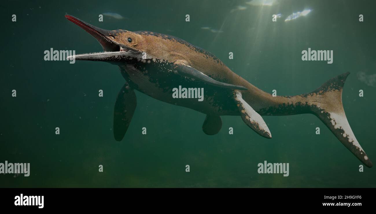Shastasaurus nuotare nell'oceano, estinto rettile marino da inizio Triassico a fine Cretaceo Foto Stock