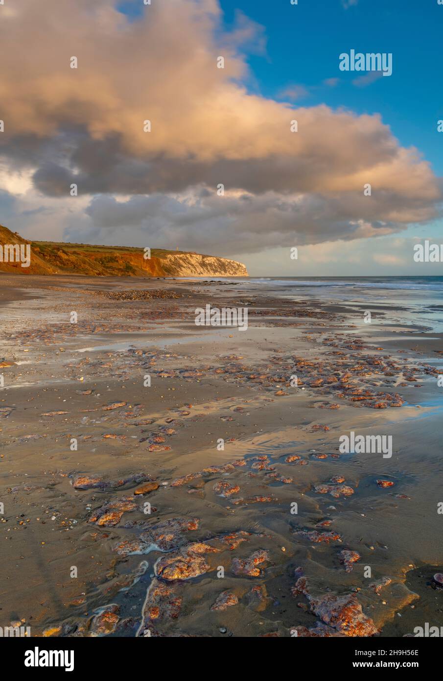 costline isola di wight, isola di wight costa, sandown baia isola di wight costa, yaverlnd e culver scogliera isola di wight mare, bassa marea sandown Foto Stock