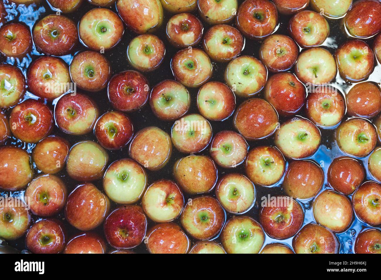 Pulire e pulire le mele fresche sul nastro trasportatore dello stabilimento di lavorazione degli alimenti. Frutta sana, produzione alimentare e concetto automatizzato di industria alimentare. Foto Stock