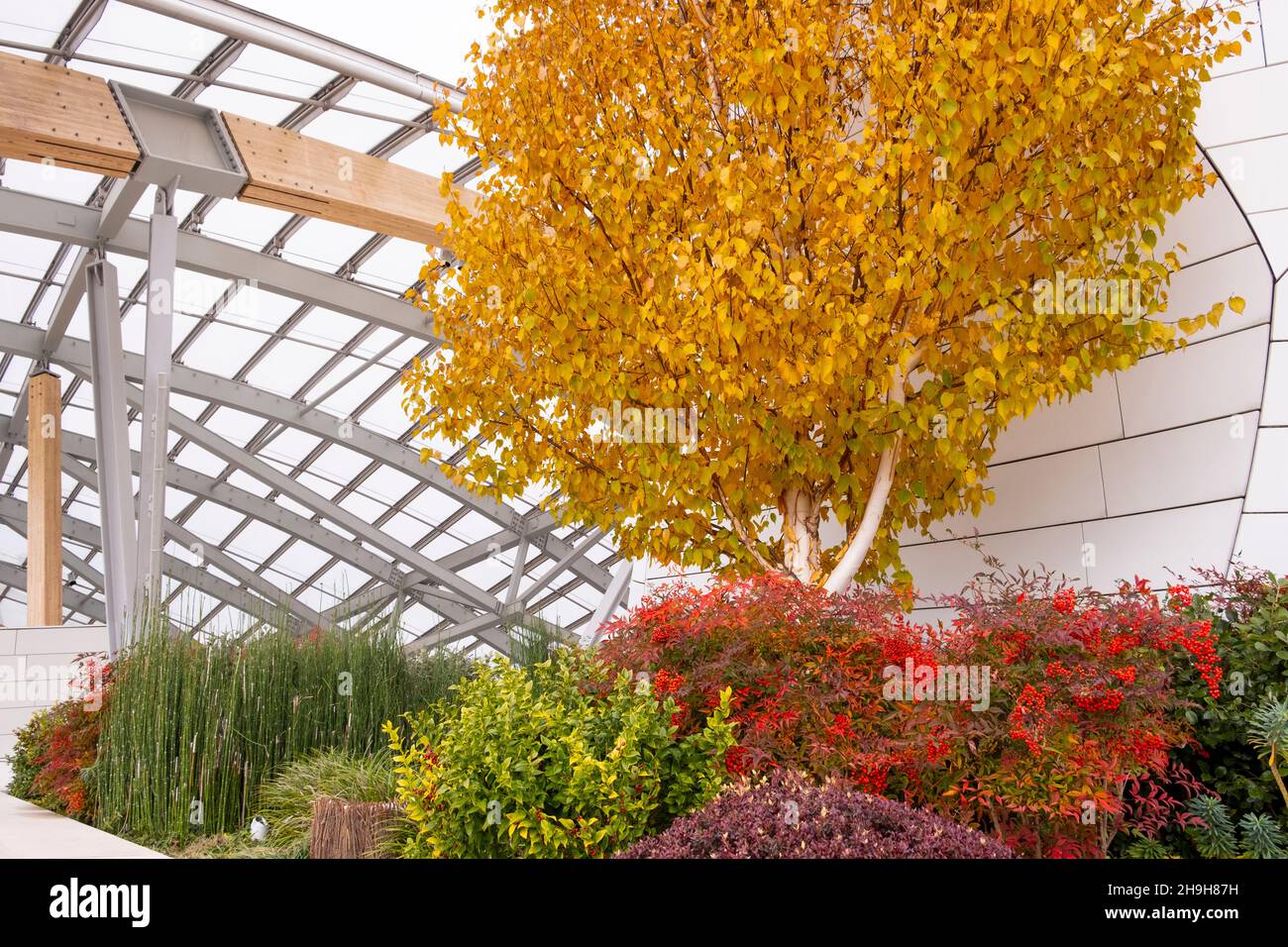 Un giardino autunnale al piano superiore della Fondazione Louis Vuitton, Parigi, Francia Foto Stock