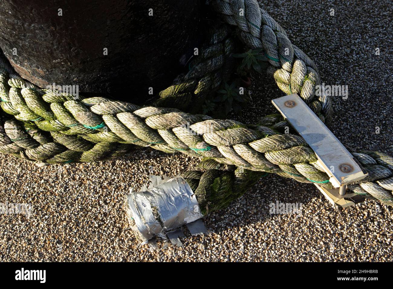 Le funi per impieghi pesanti assicurano una barca da pesca a un bullard nel porto di Scarborough. I materiali sintetici hanno sostituito le corde di sisal e di iuta mentre durano più a lungo Foto Stock