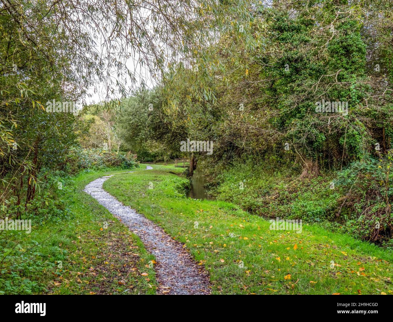 Vista del sentiero nella valle Kenwith riserva naturale locale aka LNR, e parco comunitario. Foto scattata a novembre. Bideford, Devon. Foto Stock