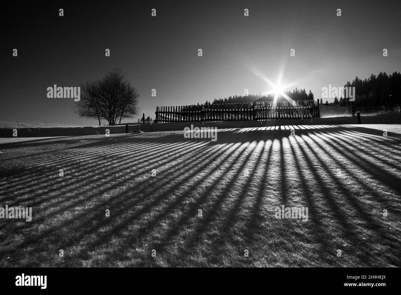 inverno, neve Foto Stock