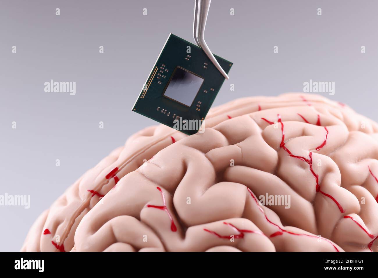 Cervello umano e chip di computer. Microprocessore in testa Foto Stock