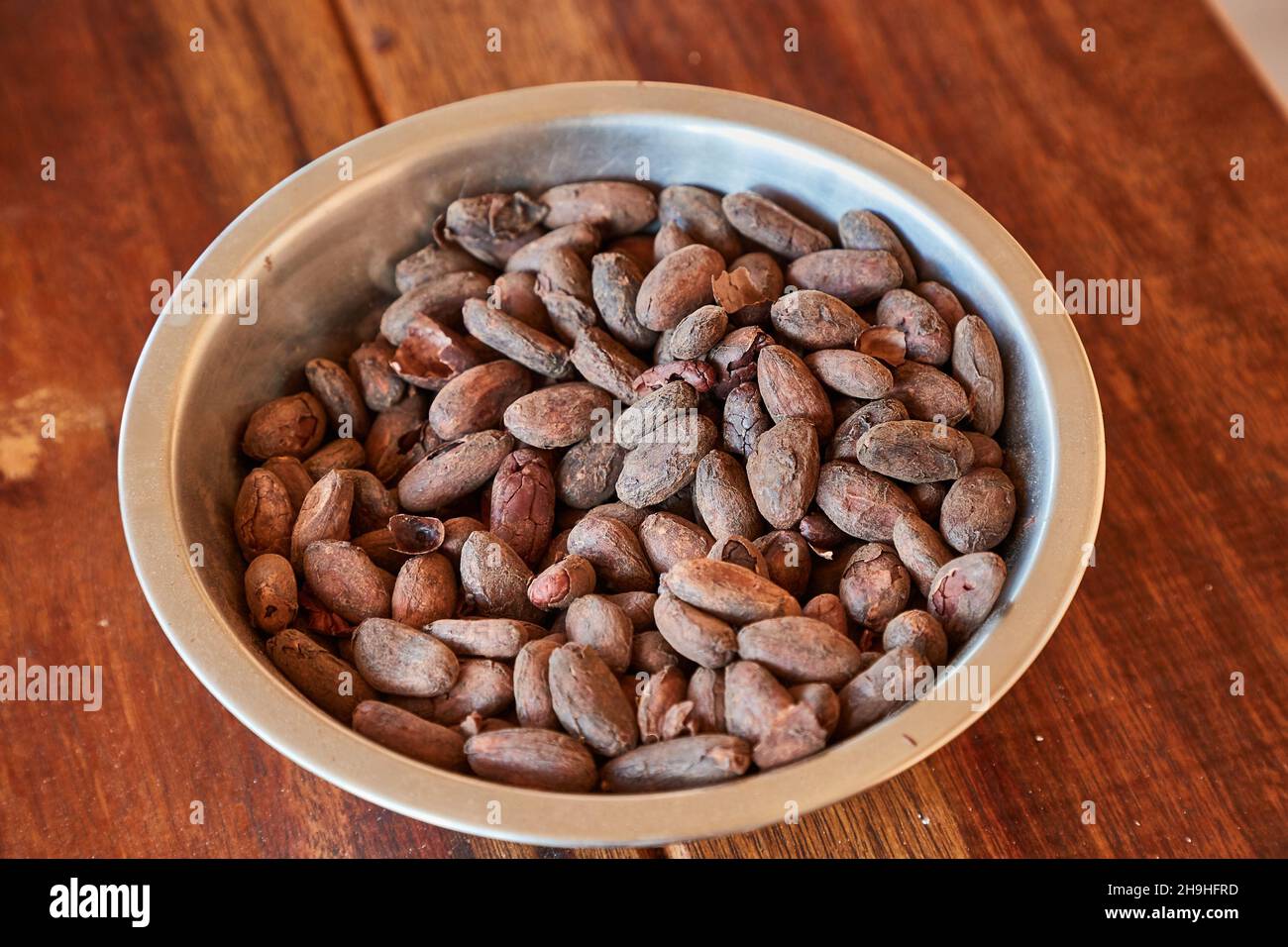 Le fave di cacao raccolte a mano Foto Stock