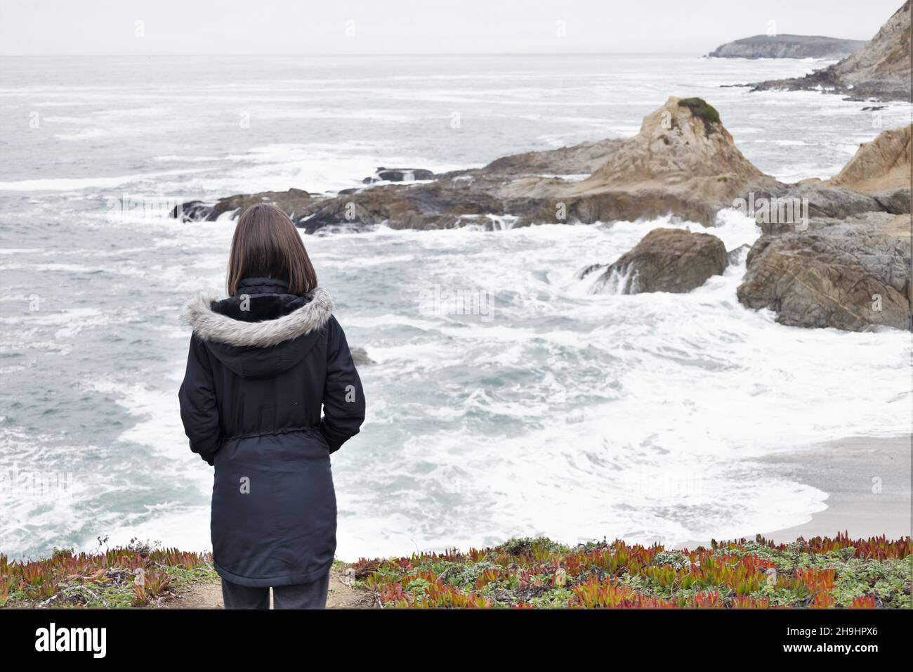 Una donna in piedi su una scogliera a Bodega Head, guardando fuori l'oceano, come visto da dietro. Foto Stock