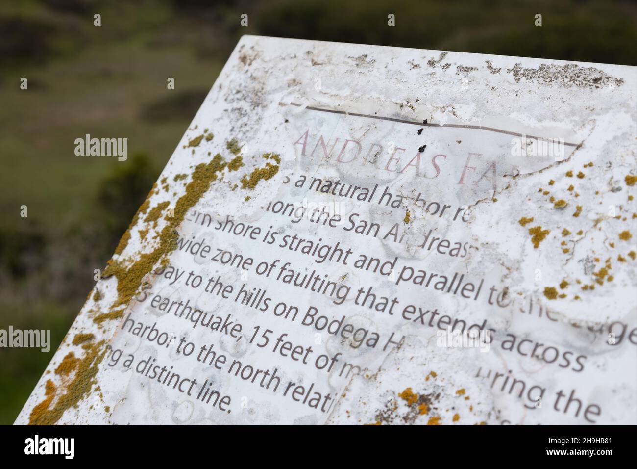 Un segno sulla colpa di San Andreas che si sta staccando e coperto di lichen, a Bodega Head in California. Foto Stock