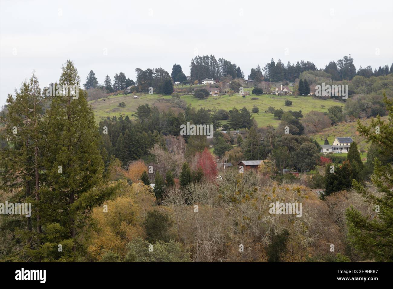 Case su una collina fuori della città di Sebastopol, California. Foto Stock