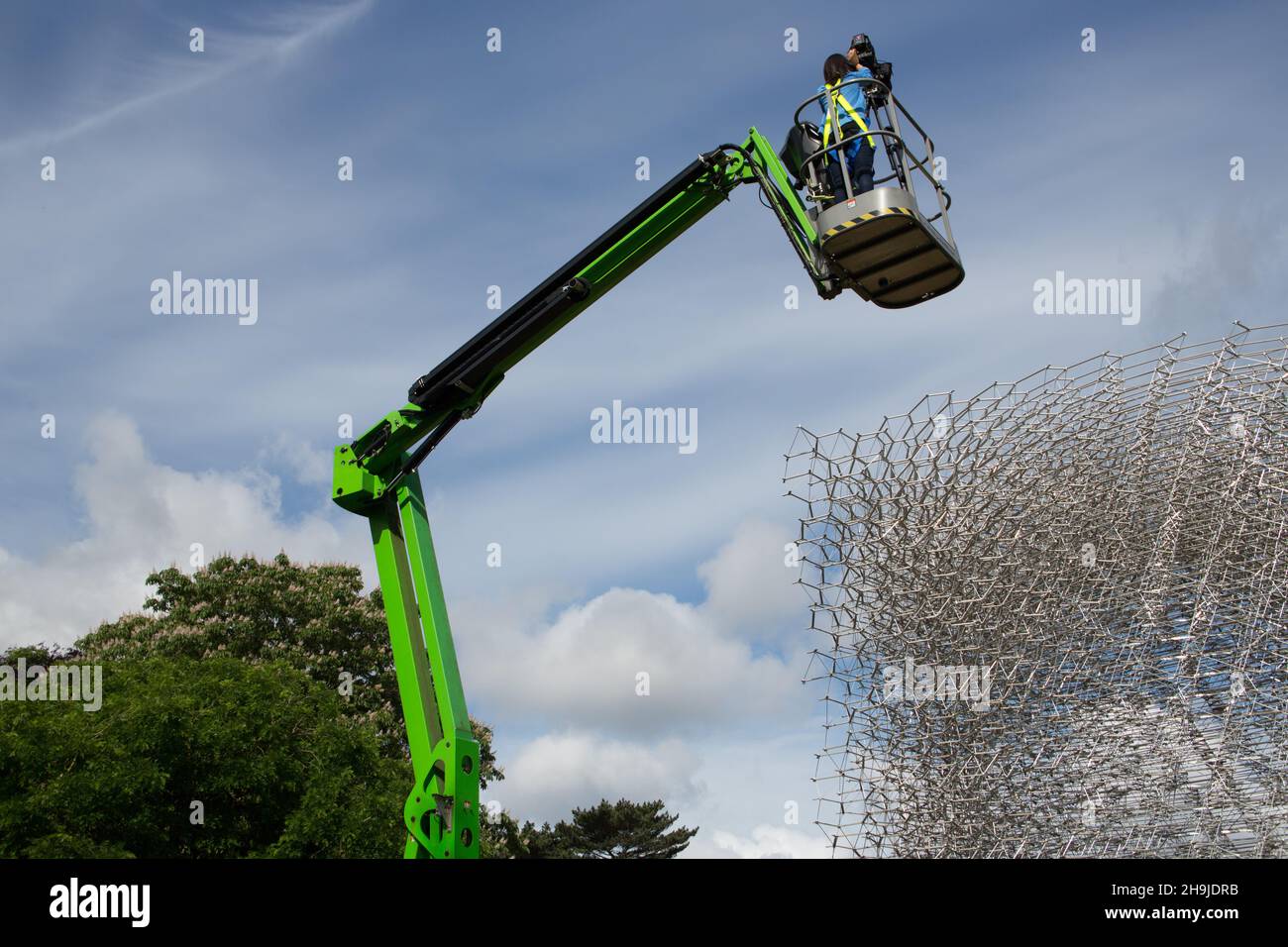 Un videografo sorge su un selezionatore di ciliegi per vedere il padiglione Hive, che è stato presentato oggi a Kew Gardens, Londra. Progettato da Wolfgang Buttress e creato da BDP, l'Hive è un premiato padiglione che richiama l'attenzione sul ruolo delle api nella catena alimentare globale. Foto Stock