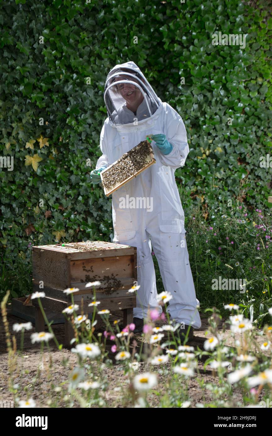 L'apicoltore di Kew Gardens, Alison Smith, tende ad api alveari nei giardini. Il padiglione Hive è stato presentato oggi presso Kew Gardens, Londra e presenta un suono ambientale generato dalle api nelle vicine alveari. Progettato da Wolfgang Buttress e creato da BDP, l'Hive è un premiato padiglione che richiama l'attenzione sul ruolo delle api nella catena alimentare globale. Foto Stock
