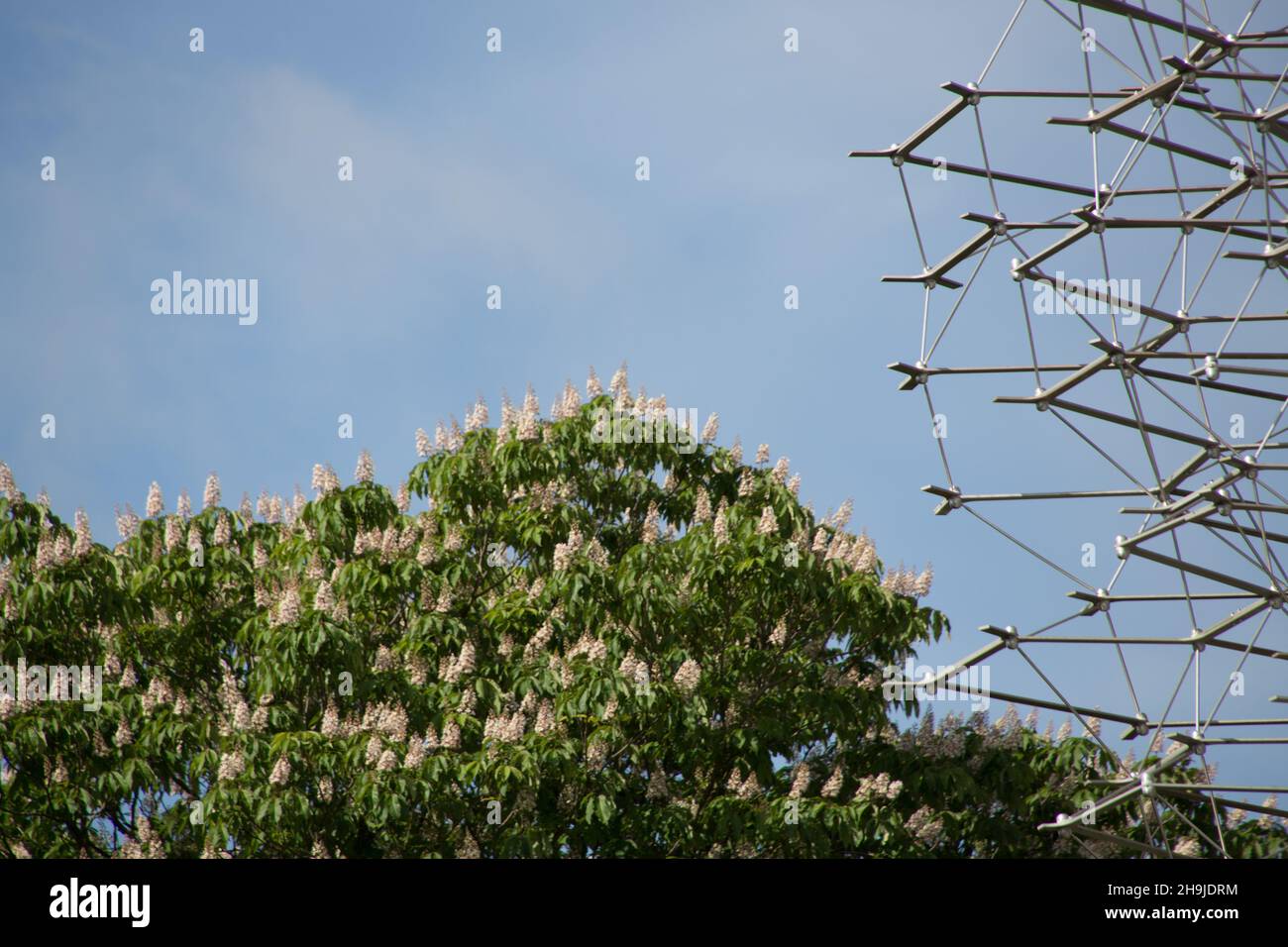 Una vista di un dettaglio dall'Hive, un padiglione presentato oggi a Kew Gardens, Londra, accanto ai castagni del giardino. Progettato da Wolfgang Buttress e creato da BDP, l'Hive è un premiato padiglione che richiama l'attenzione sul ruolo delle api nella catena alimentare globale. Foto Stock
