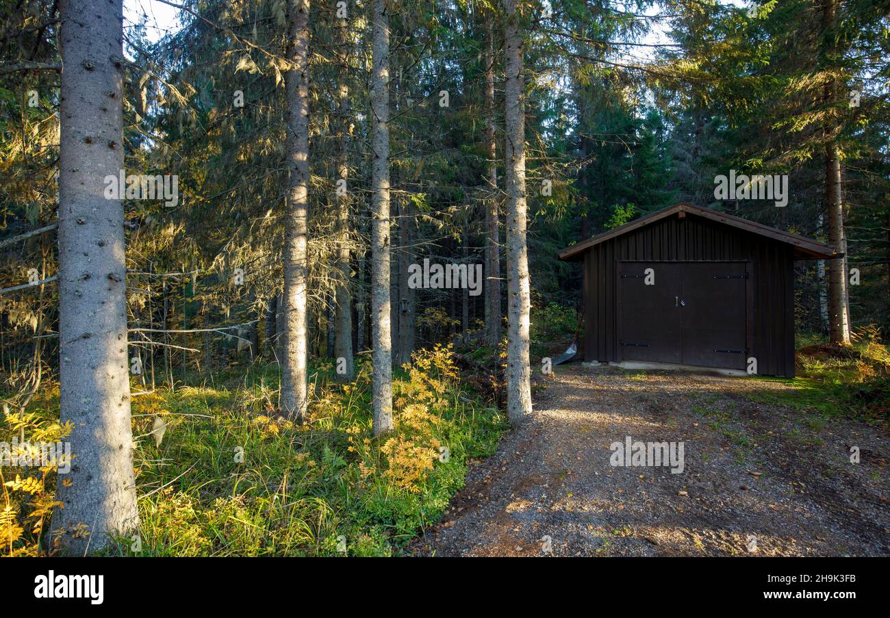 Capannone marrone , in lamiera , nella foresta , Finlandia Foto Stock