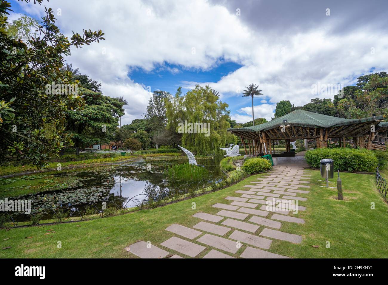 5 dicembre 2021, il Giardino Botanico di Bogotà José Celestino Mutis. Foto Stock