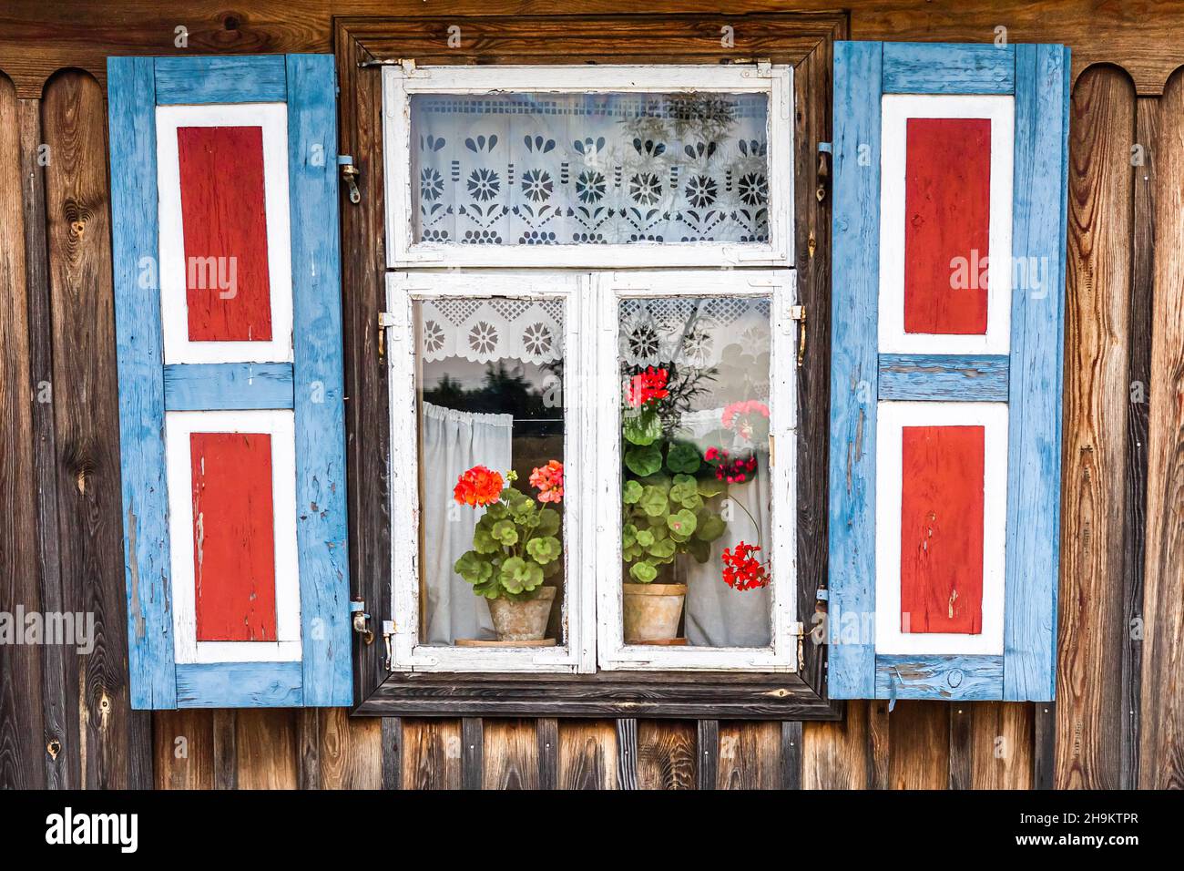 Una finestra di un vecchio cottage in legno, con persiane blu e rosse, tende bianche e fiori di pelargonio sul davanzale. Foto Stock