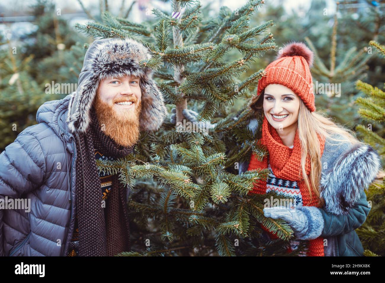 Coppia che si diverte cercando un albero di Natale Foto Stock