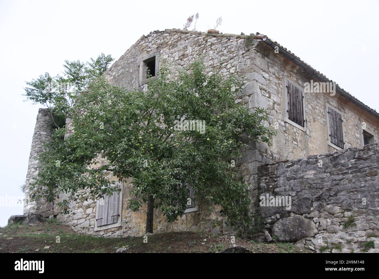 Tipica vecchia casa abbandonata in Croazia. Punto di vista basso. Foto Stock