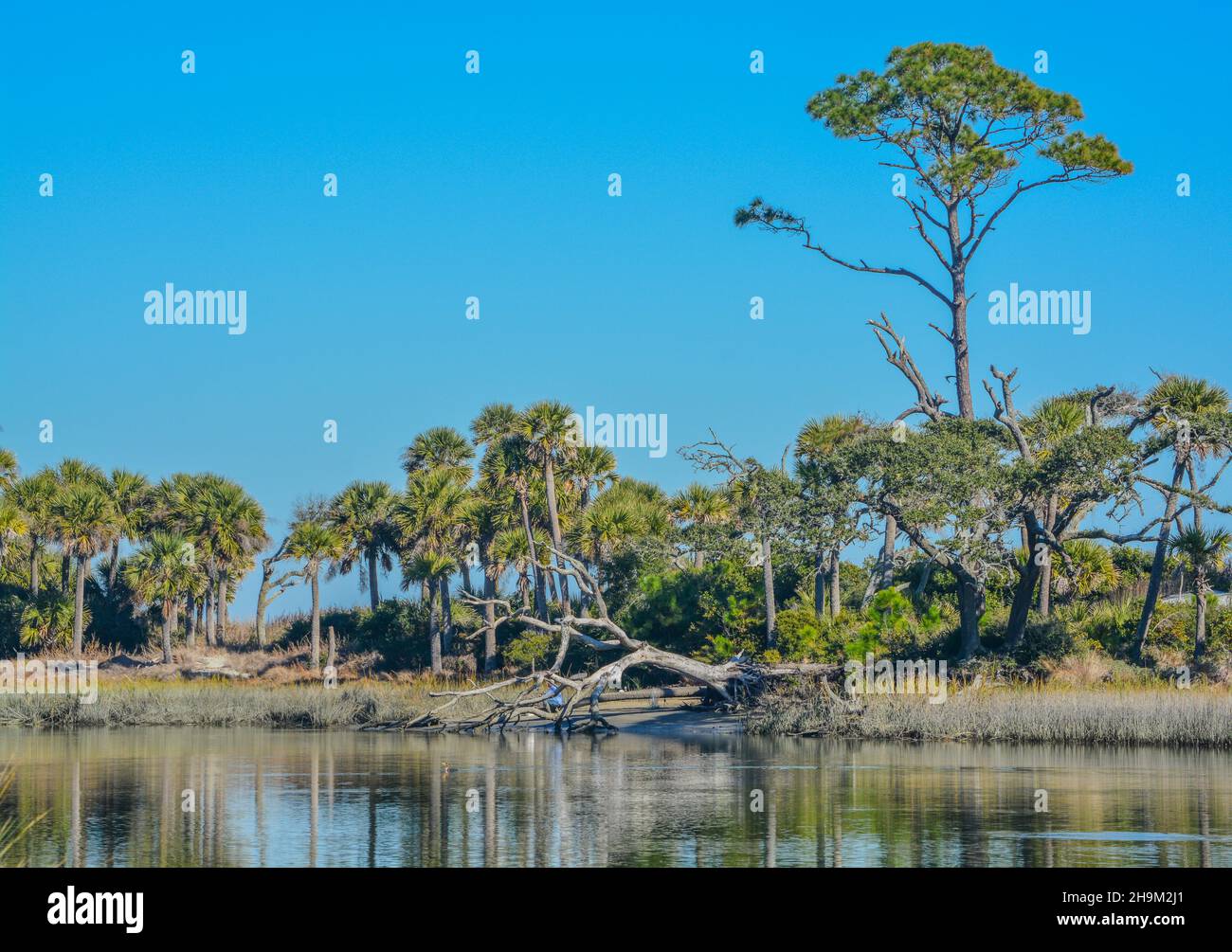 La Laguna sull'Isola di Caccia. Sull'Oceano Atlantico, Beaufort County, Carolina del Sud Foto Stock