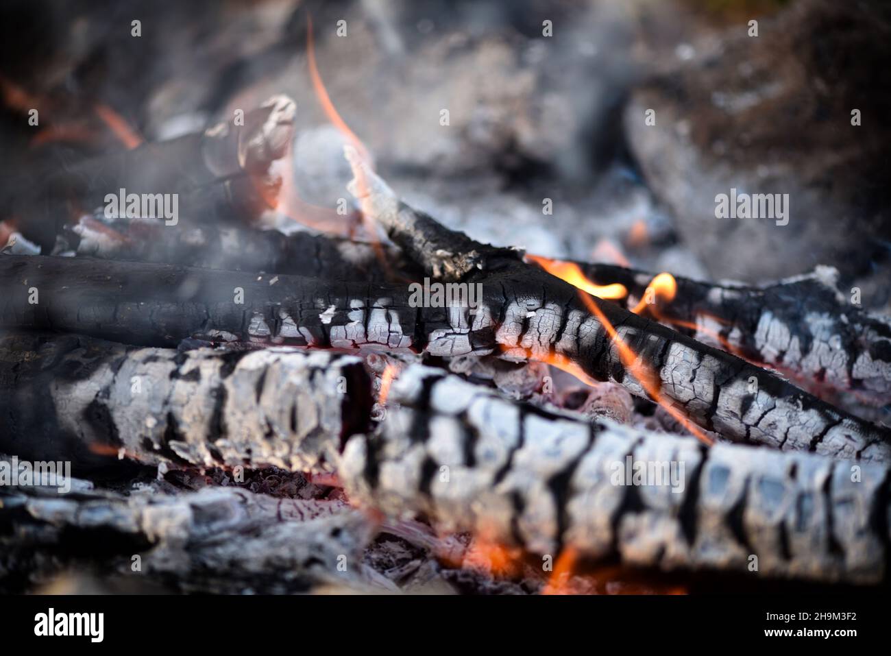 Primo piano di carbone e cenere di legno. Può essere utilizzato come sfondo Foto Stock