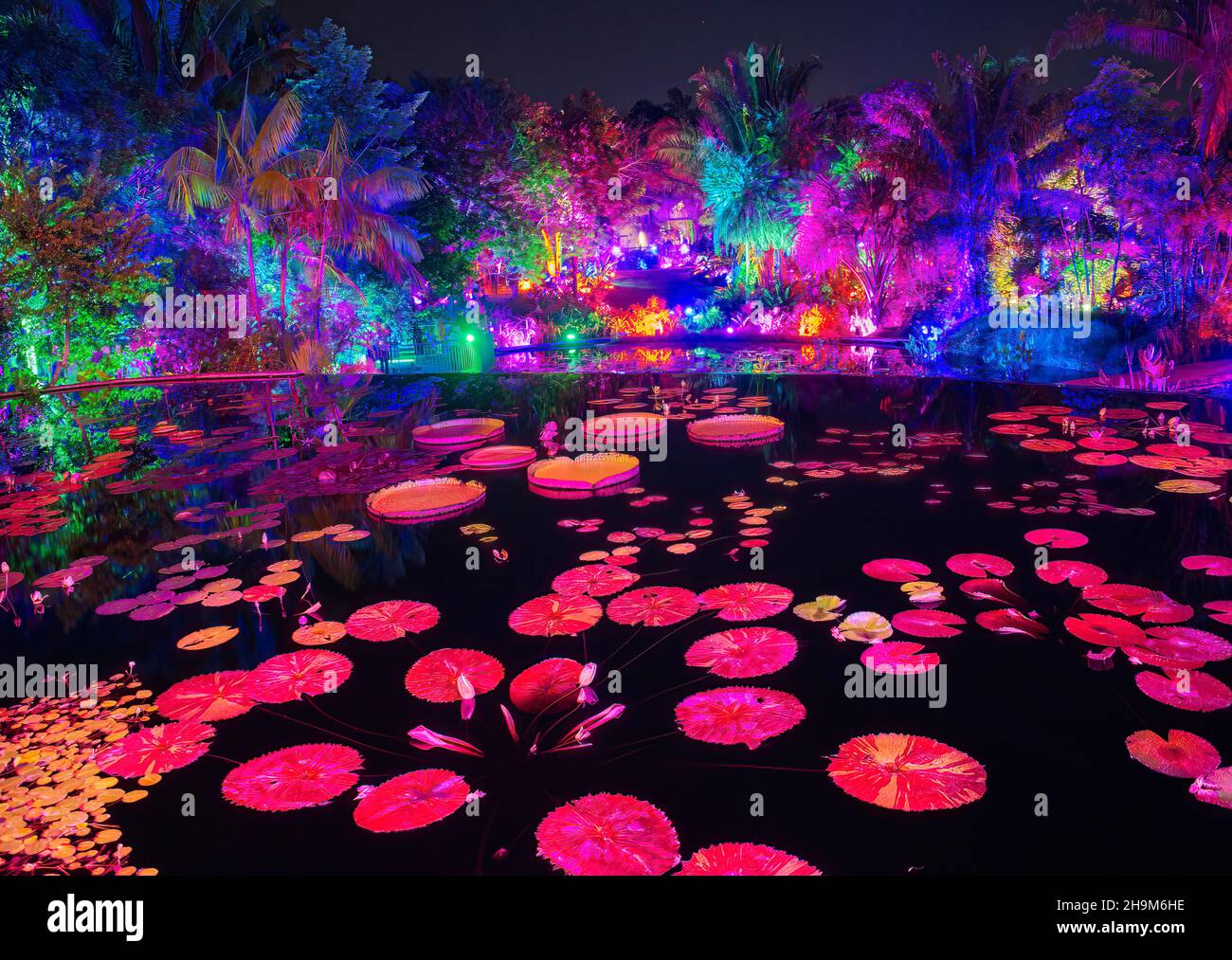 Johnsonville Night Lights in the Garden Natale 2021 al Giardino Botanico di Napoli Florida USA Foto Stock