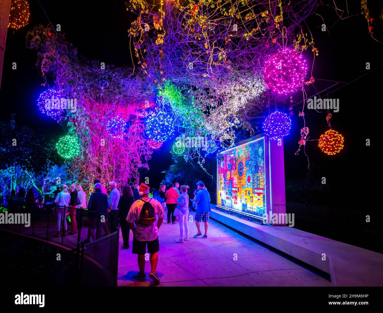 Johnsonville Night Lights in the Garden Natale 2021 al Giardino Botanico di Napoli Florida USA Foto Stock