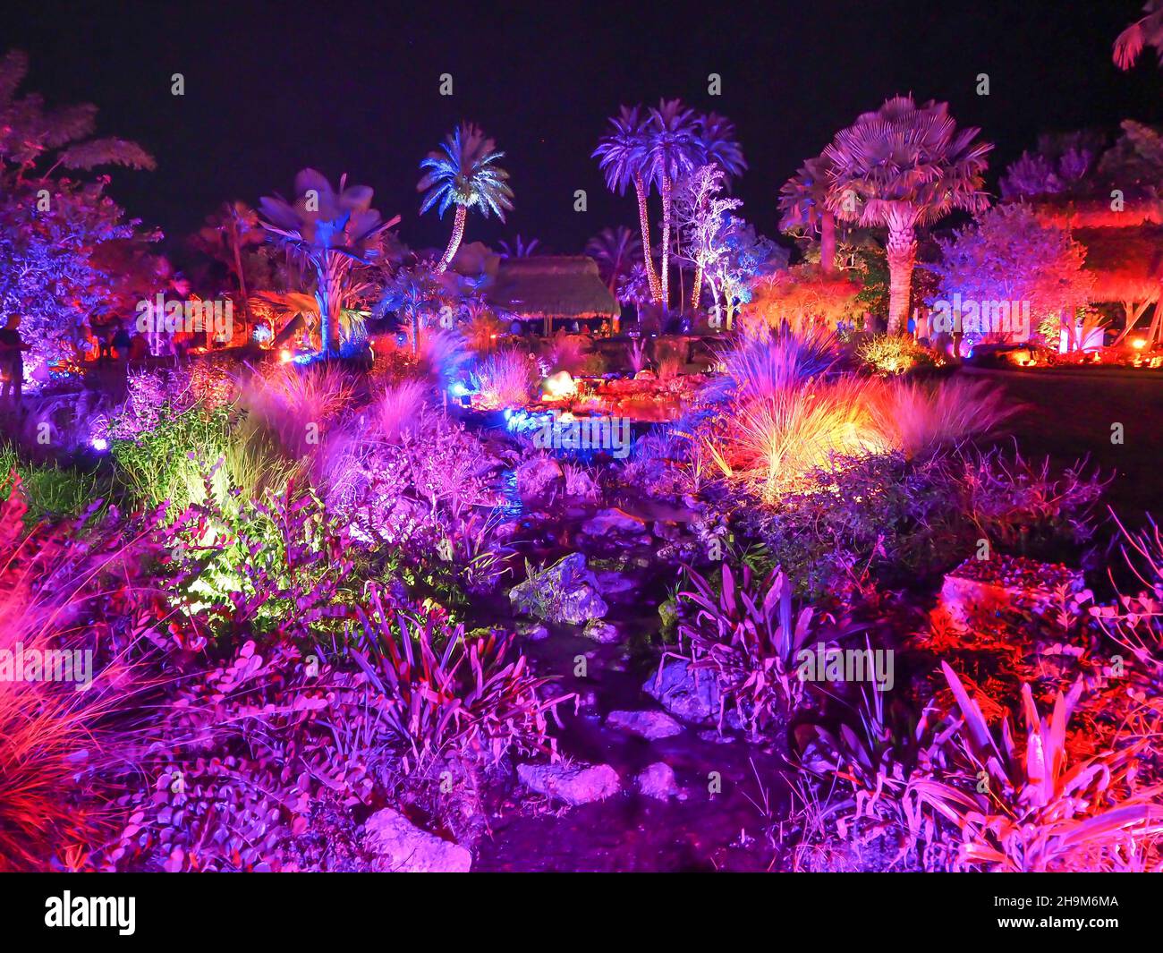 Johnsonville Night Lights in the Garden Natale 2021 al Giardino Botanico di Napoli Florida USA Foto Stock