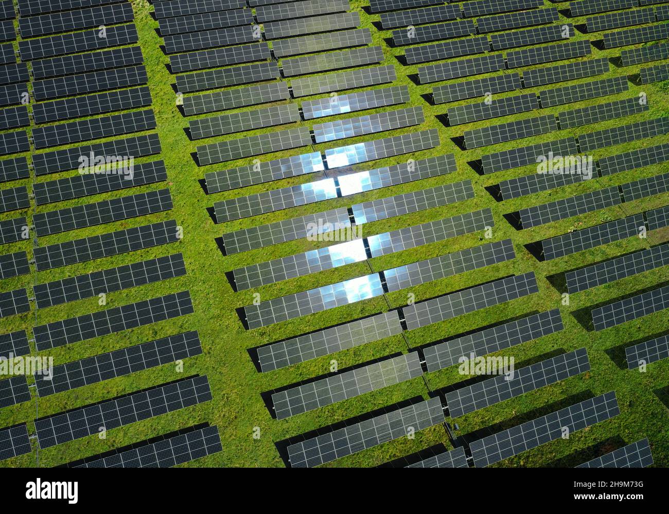 Energia solare fattoria. Vista aerea dei pannelli solari. Foto di alta qualità Foto Stock