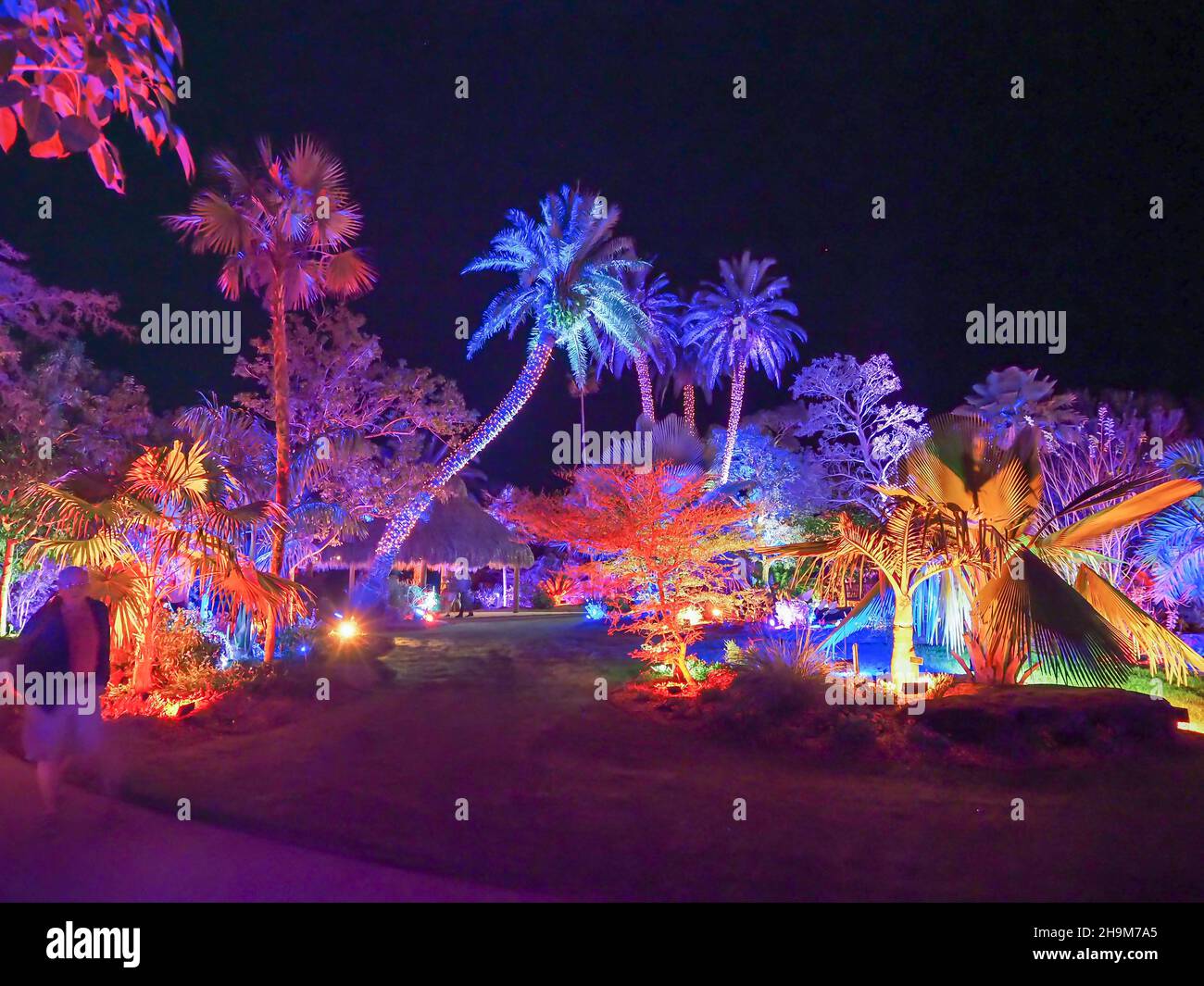 Johnsonville Night Lights in the Garden Natale 2021 al Giardino Botanico di Napoli Florida USA Foto Stock