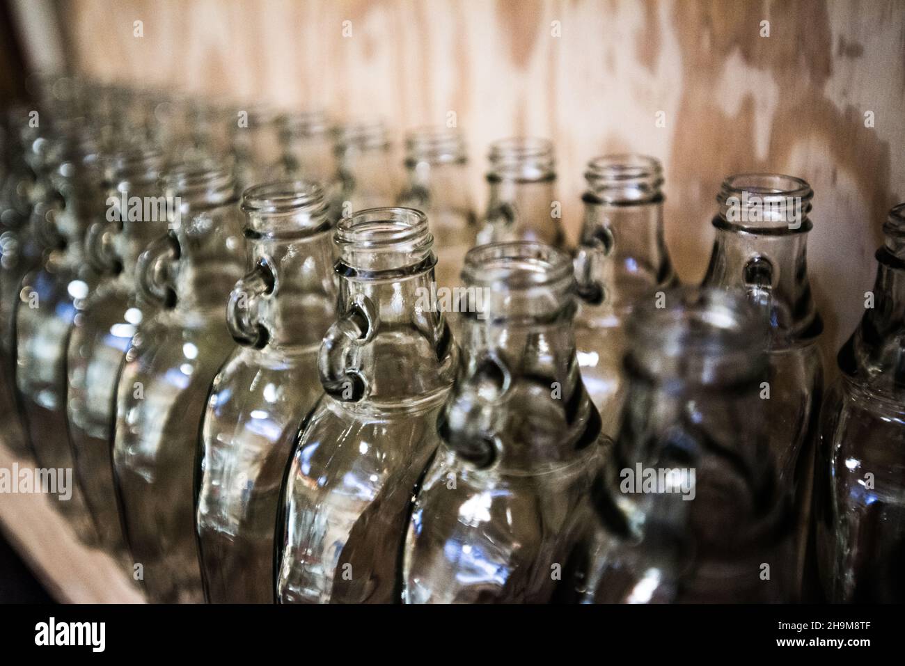 Bottiglie sterilizzate pronte per essere riempite con sciroppo d'acero, Valley View Farm, Topsfield, Massachusetts, USA Foto Stock