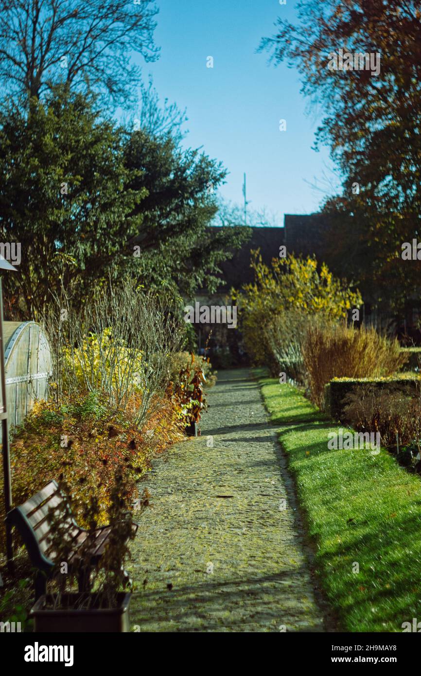 Tabor giardino botanico mattina inverno Foto Stock