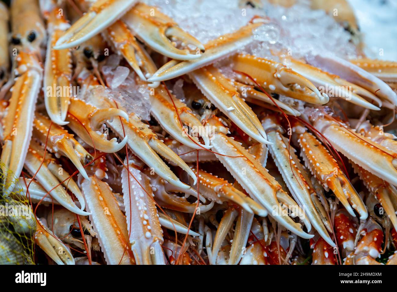 Guardando verso il basso gli artigli di langoustina su una stalla di pescivendoli Foto Stock