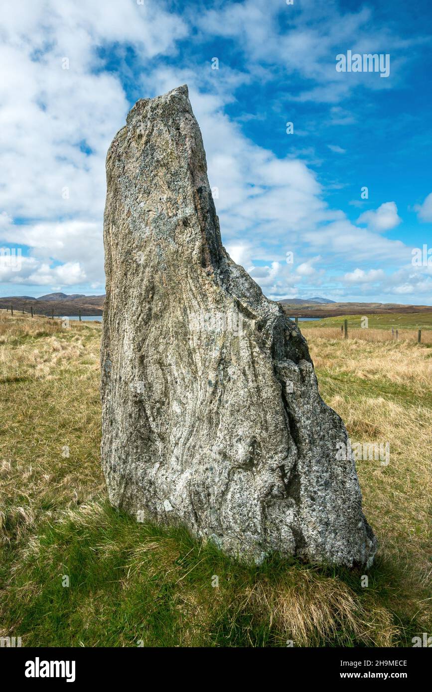 Antiche pietre calanais in piedi nel mese di maggio, Callanish, Isola di Lewis, Ebridi esterne, Scozia, REGNO UNITO Foto Stock